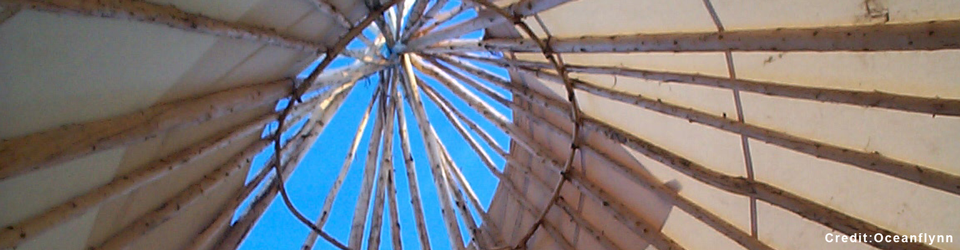 Banner 4