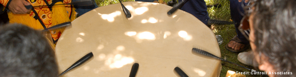 Banner 3